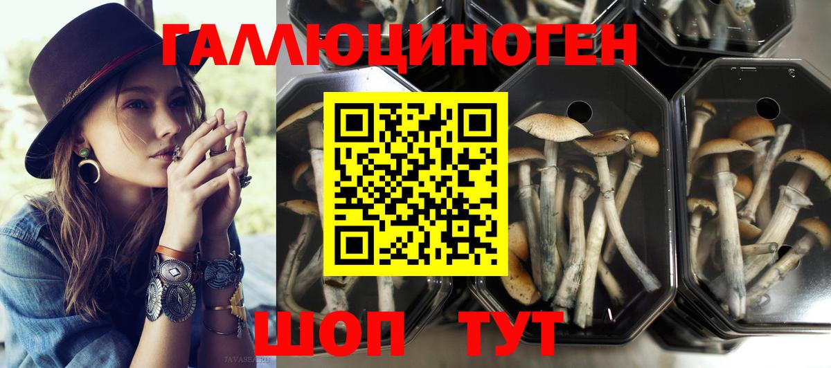 Соликамск  Псилоцибиновые грибы Cubensis  Псилоцибиновые грибы ЛСД  Вход с VPN 