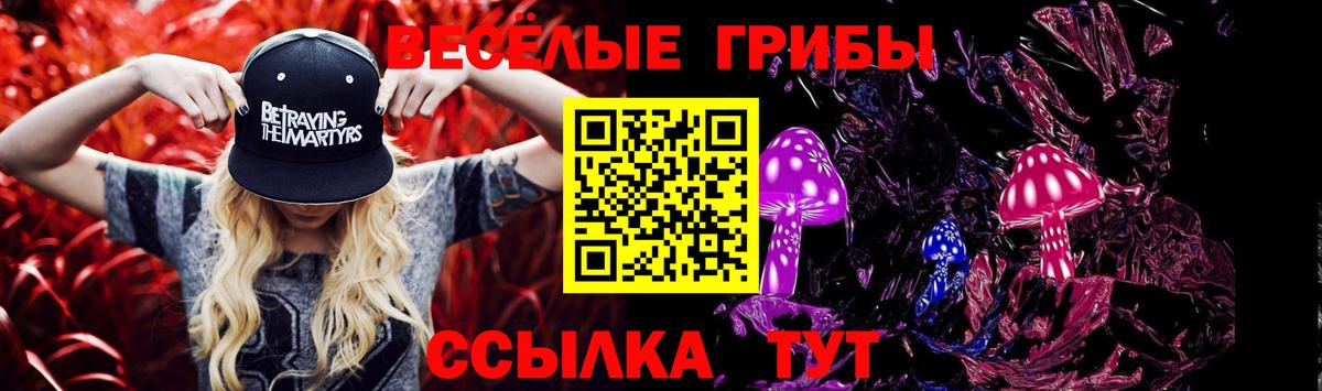 Галлюциногенные грибы Psilocybe Соликамск
